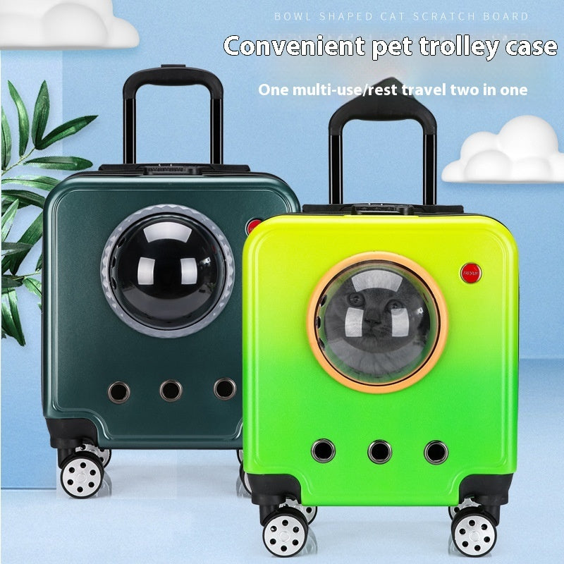 Suitcase and Friends