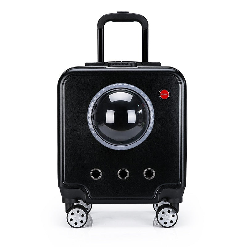 Suitcase and Friends